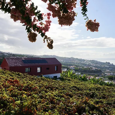 O Refugio Ideal Uma Experiencia Pacifica * Câmara de Lobos